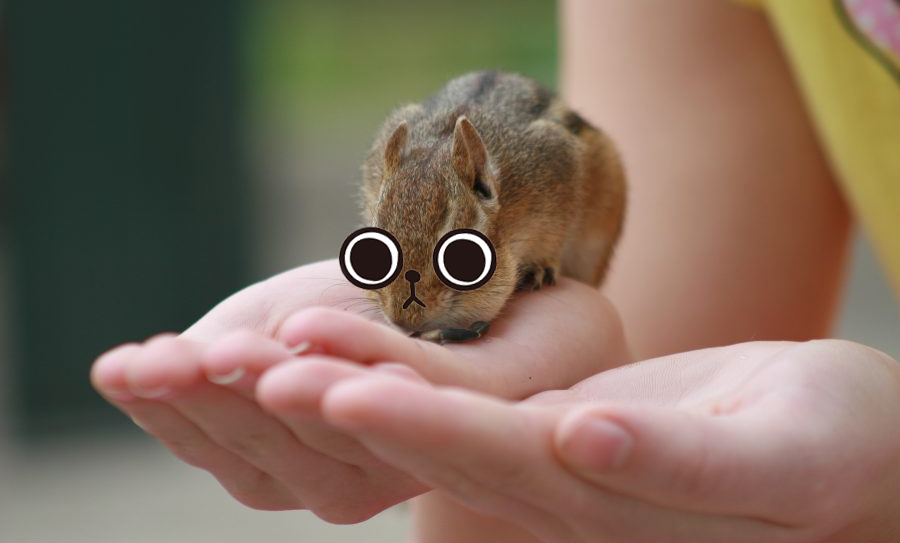 𝕋𝕋 𝔸𝕕𝕠𝕡𝕥𝕚𝕠𝕟 𝔻𝕒𝕪🐿️

🗓️Mint Date : Mar 23rd, UTC 11:00 AM
📦Supply : 1000
⛓️Chain : ETH
🎁Reveal : March 28th

🎫Whitelist : Free
5 Mints per 1 Transaction
📜Public : Free
3 Mints per 1 Transaction

🚁Airdrop date : Mar 29th

#MintingSoon #Minting #Mint #NFTCommunity