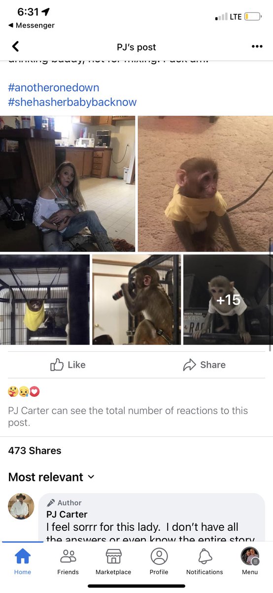 GriffServati's tweet photo. @corbydavidson from the monkey owner in the attack in Dickson, Ok https://t.co/0mOi75BPQJ