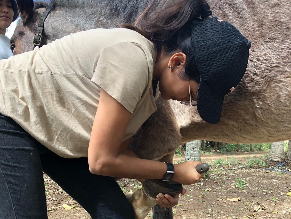 MiradorGalan's tweet photo. Estoy muy orgullosa de que el Mirador de Galán este formado a 99% por mujeres.

No voy a recalcar las cualidades de ellas, como si fuera algo extraño, como si fuéramos excepciones. Así somos las mujeres, y cuando nos damos no hay límites a lo que podemos hacer y realizar. https://t.co/1zJkKfJY4Y