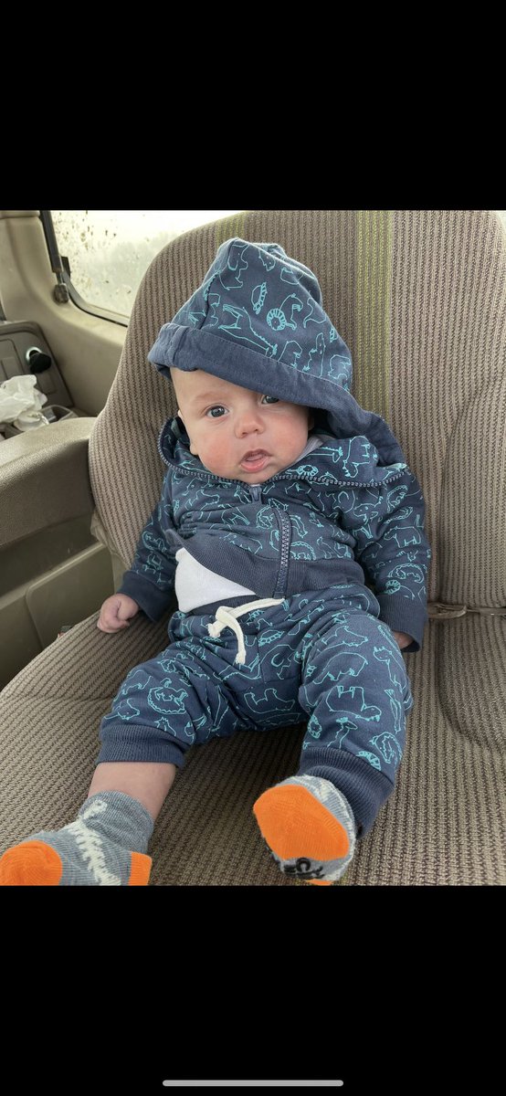 Steenbock tweet media