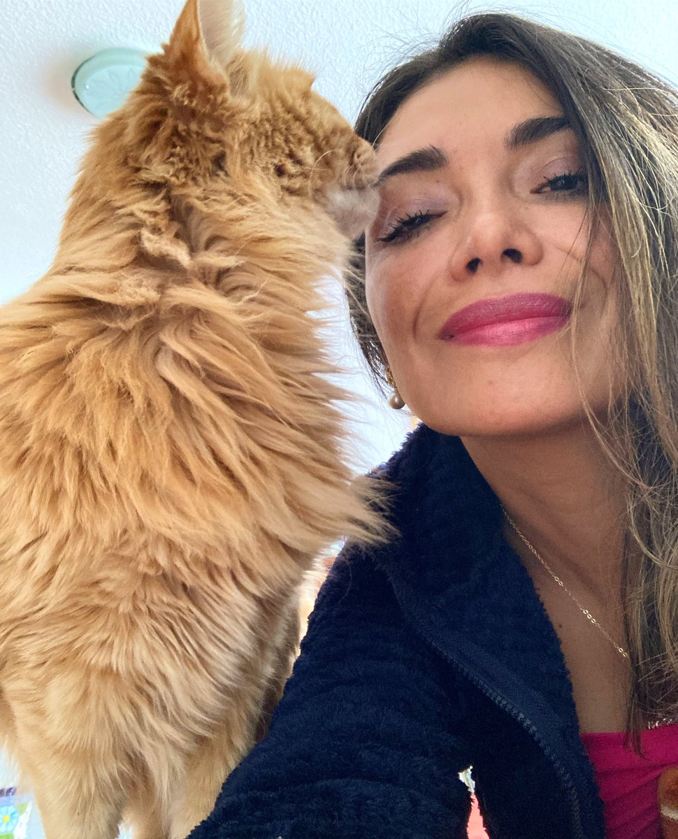 Culturosa_'s tweet photo. En esta tarde #Garfi me da besito de bienvenida 😍 #GatoLadrón https://t.co/pdiq5sJ5xB