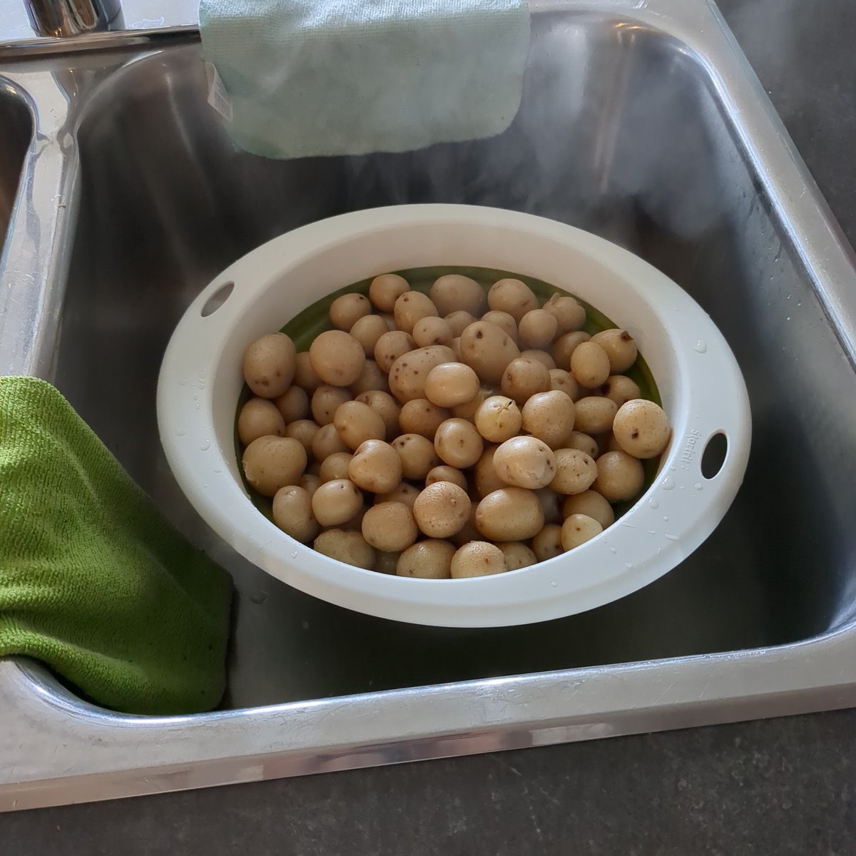 NotsoMadlibs's tweet photo. @SeanAstin I'm sure you get this all the time, but I've boiled them, and the stew is cooking. What's the next step? https://t.co/PdjRi6F4P1