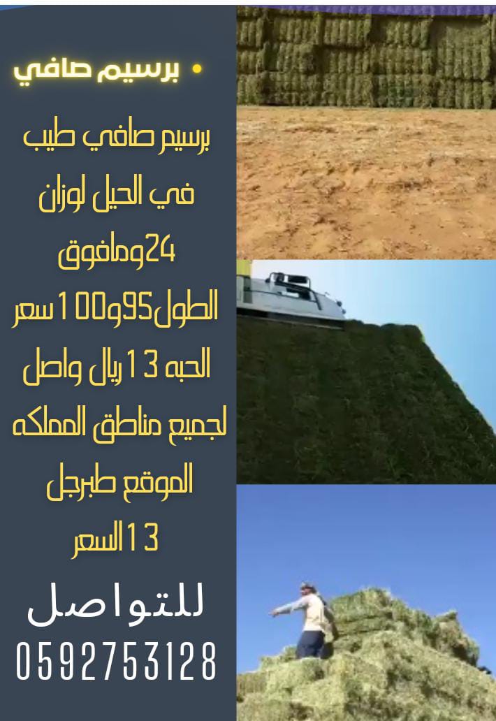 ✅يوجد لدينا برسيم صافي على 13ونص محمل سعر مناسب يوجد توصيل لكافته انحاء المملكه
للتواصل وتس👇🏻
wtspee.com/966592753128
<a href="/aalafalmamlaka/">أعلاف المملكة 🇸🇦</a>