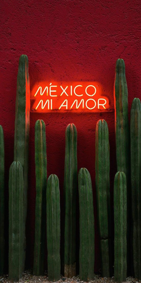 idlesten's tweet photo. Whitexican. https://t.co/eqMyb10T5E