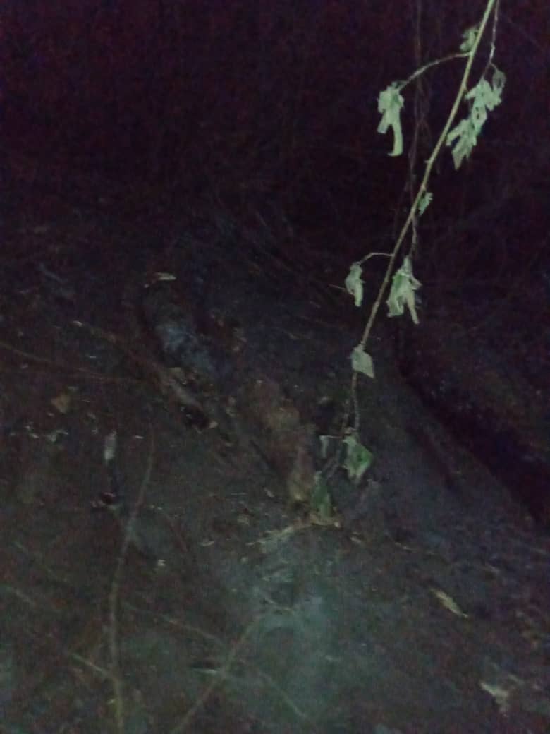 Briforhp's tweet photo. hoy en  horas del mediodía se presentó un reinicio en la parte alta del manguito adyacente a Chimborazo y fila de cuchillo una semana después que fue liquidado el incendio, nuestros hombres en hora buena se trasladaron al sitio y realizaron labores de extinción y remosion https://t.co/031V8b6vbx