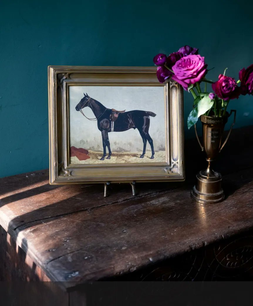 Our latest issue is out! See our marvelous mix of travel, fashion, people, decor, real estate, and more. 🐴
buff.ly/3Zs3XAc