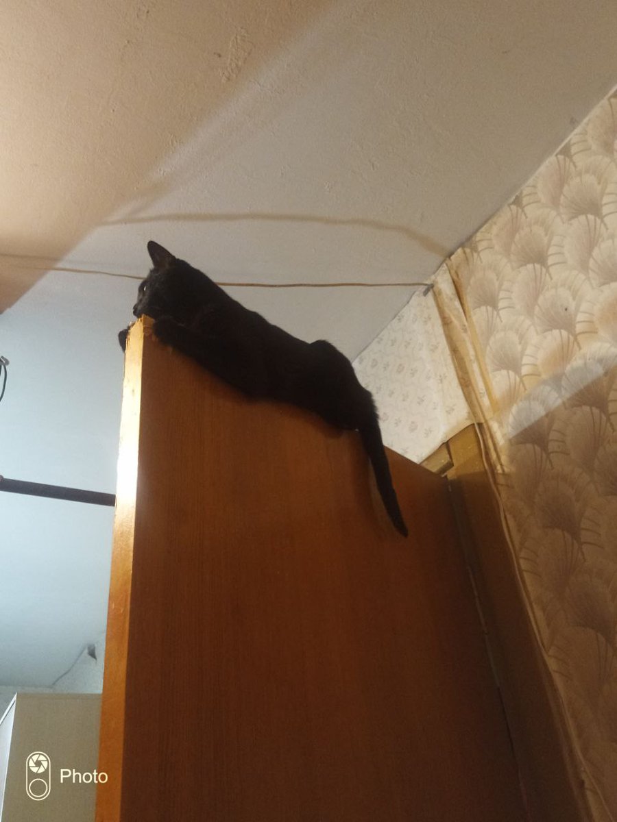 Laboratory tweet media