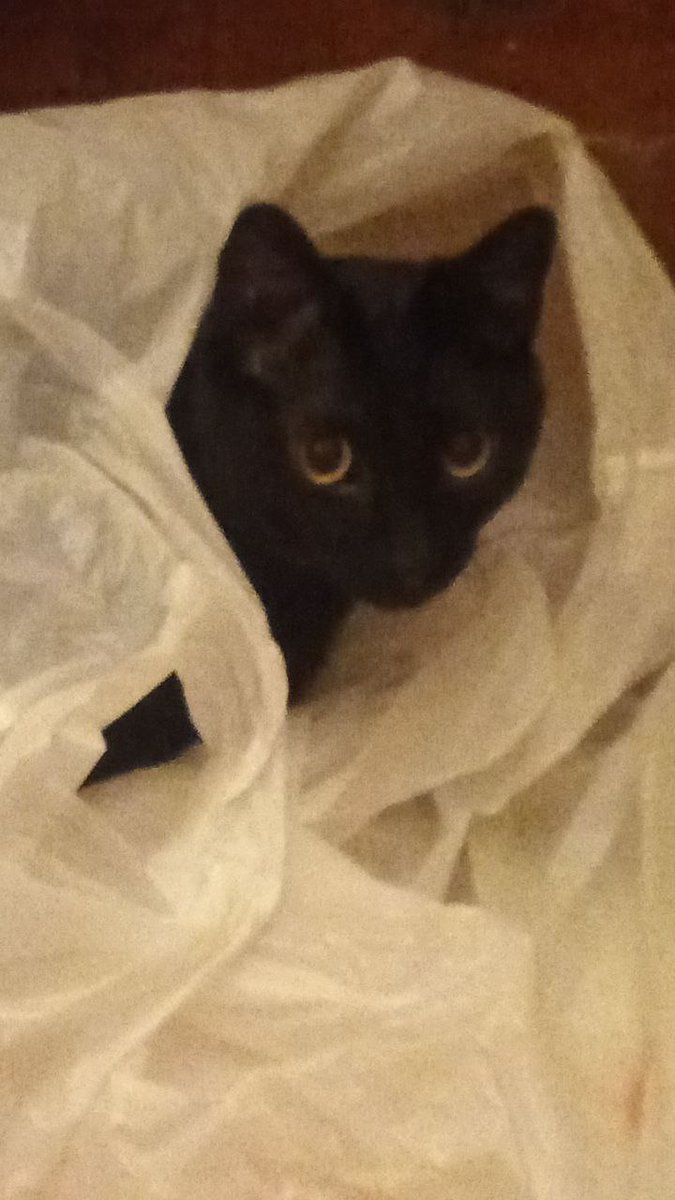 Laboratory tweet media