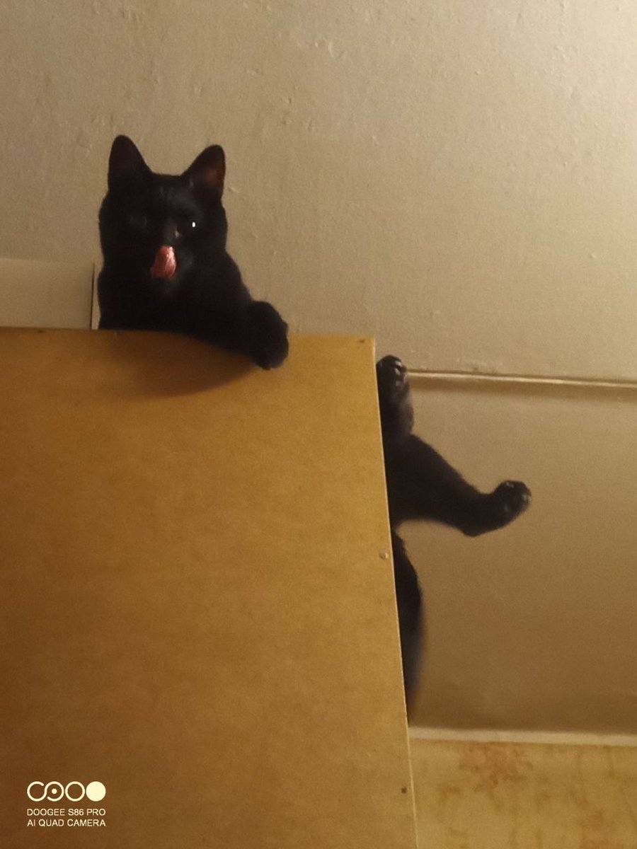 Laboratory tweet media