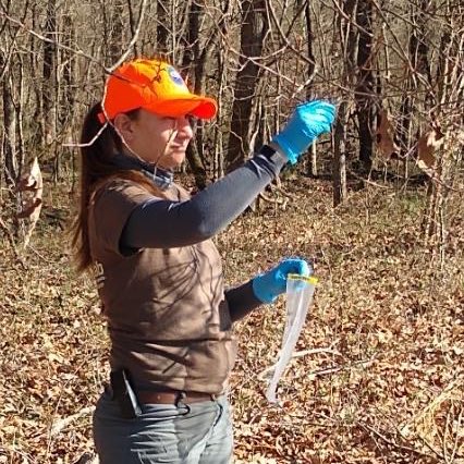 Lindsay Thomas Jr. (@lindsaythomasjr) on Twitter photo Here’s @HuangMiranda of <a href="/MSUDeerLab/">MSUDeerLab</a> collecting scrape dirt and licking limbs for the first study to report finding CWD prions at scrape sites. This is one of three new ways we now have to potentially monitor CWD without testing deer. More here: deerassociation.com/3-promising-ne… Here’s @HuangMiranda of <a href="/MSUDeerLab/">MSUDeerLab</a> collecting scrape dirt and licking limbs for the first study to report finding CWD prions at scrape sites. This is one of three new ways we now have to potentially monitor CWD without testing deer. More here: deerassociation.com/3-promising-ne…