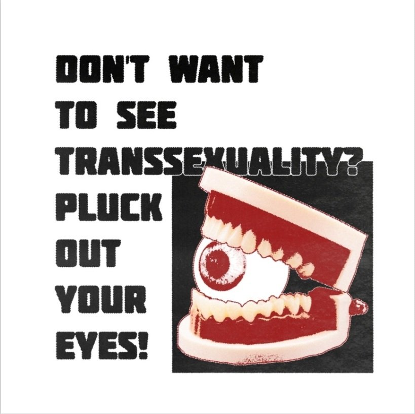 JesseGoudie's tweet photo. credits @ sweatermuppet3.0 on Instagram

been seeing a crazy increase in violent transphobia lately. It's a scary time to be visibly queer, stay safe, ignore the noise, and give em hell 🏳️‍⚧️🏳️‍🌈 https://t.co/EtxCAnPx95