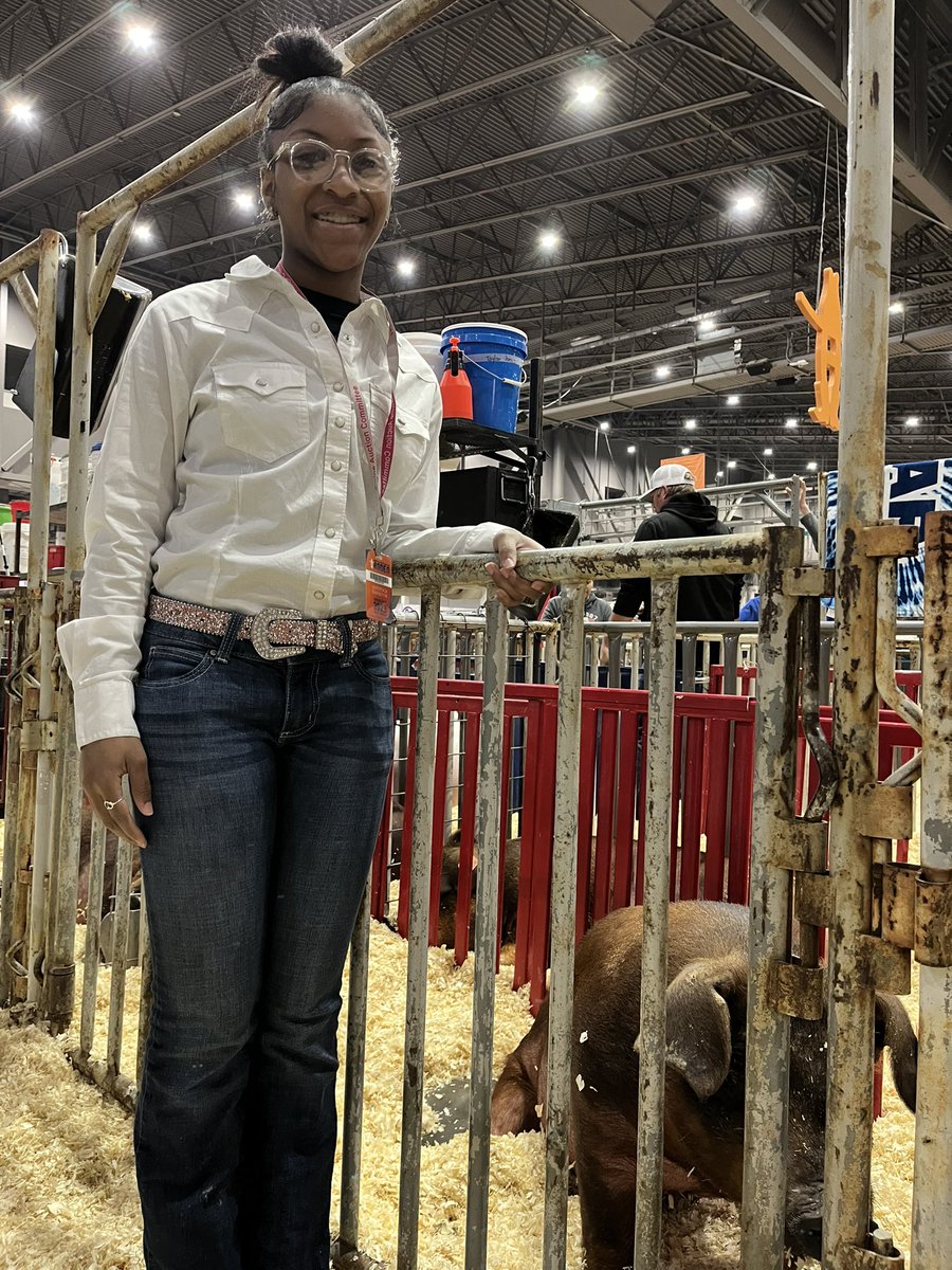 FFAHightower's tweet photo. From the pig show to steer classification. It’s been a full day at the rodeo. Good luck tomorrow to our steer kids! #hhsffa #hlsrbound https://t.co/jNviy51kC2