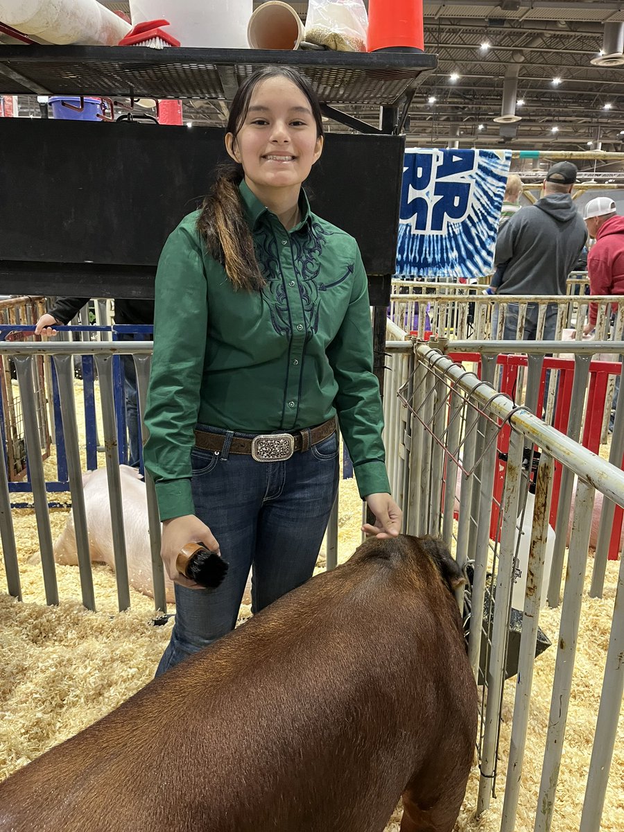 FFAHightower's tweet photo. From the pig show to steer classification. It’s been a full day at the rodeo. Good luck tomorrow to our steer kids! #hhsffa #hlsrbound https://t.co/jNviy51kC2