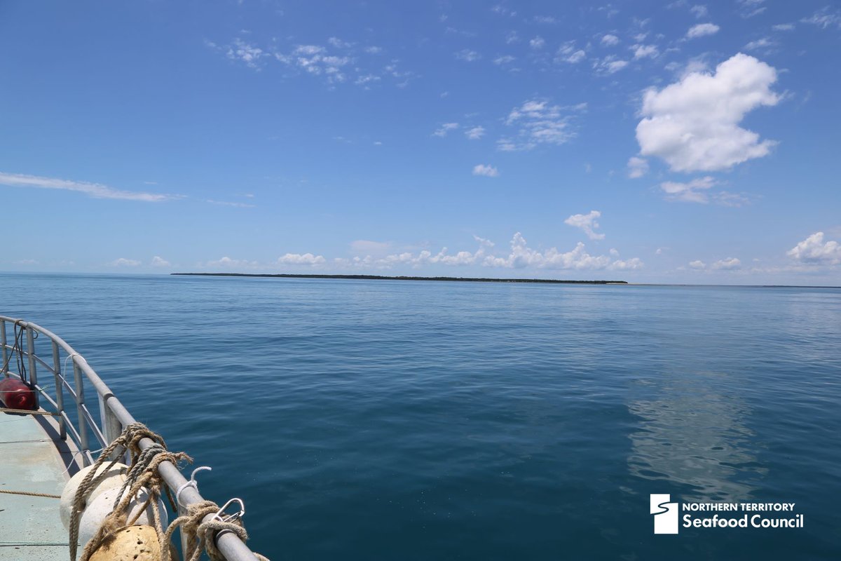 NTSC expresses deep concern over the recent loss of access for professional fishers in the Mini Mini/Murgenella region due to failed negotiations. bit.ly/3TkYRmP