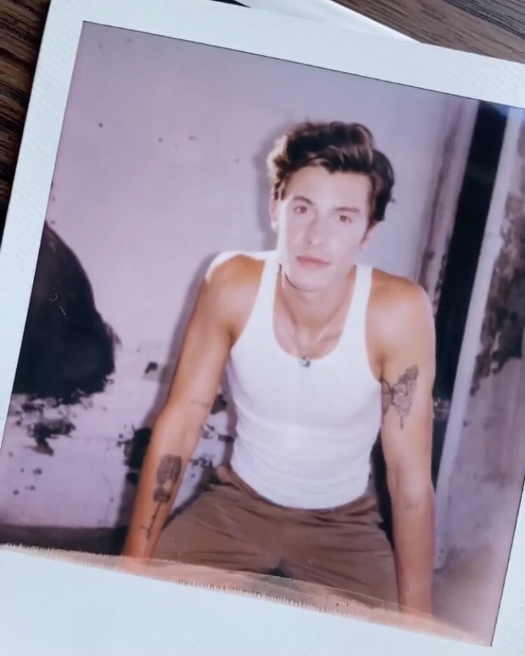 dontbeafooldar's tweet photo. polaroids of shawn mendes >>> https://t.co/O6BlfNKBIQ