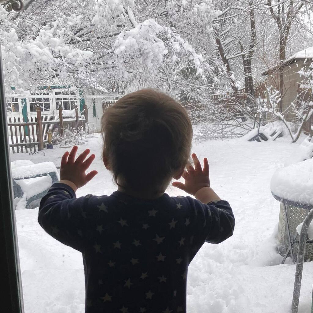 karmabee's tweet photo. Snow day! #snowday #hudsonvalley #winter https://t.co/i6ltvKLSUY https://t.co/eJLysUizxq