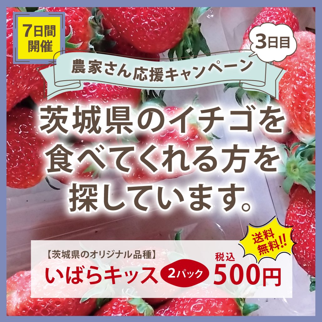 losshelp_jp's tweet photo. 【農家さん応援キャンペーン3日目スタート！】

みなさんおはようございますm(__)m
もう応募はばっちりでしょうか？

こんなお得にイチゴはもう買えないかも・・・？

3日目も宜しくお願いします！(｀･ω･´)ゞ

申し込みはこちらから💁‍♀️
https://t.co/2eMAY1PF22 https://t.co/7Wb0iGNBYm