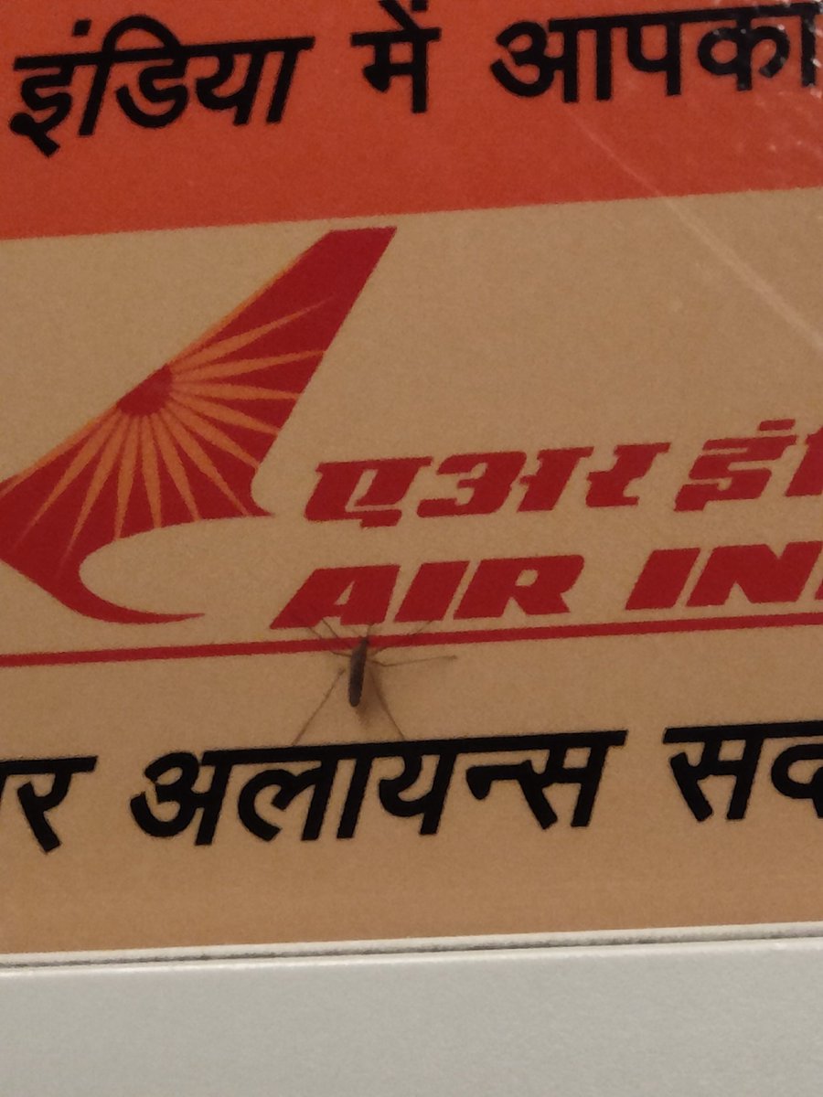 supratimkar79's tweet photo. https://t.co/z7p22HxZQw