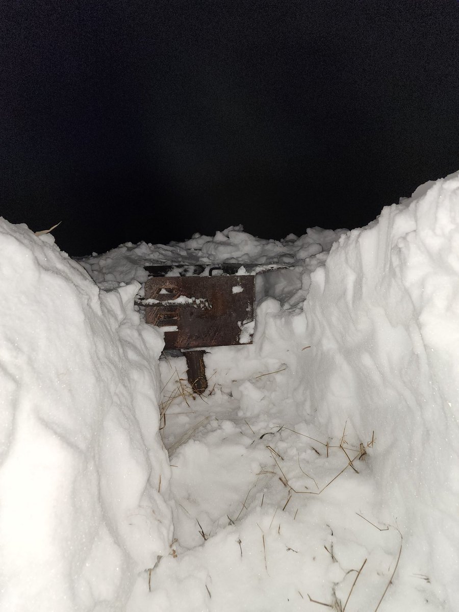 Grover Bynum tweet media