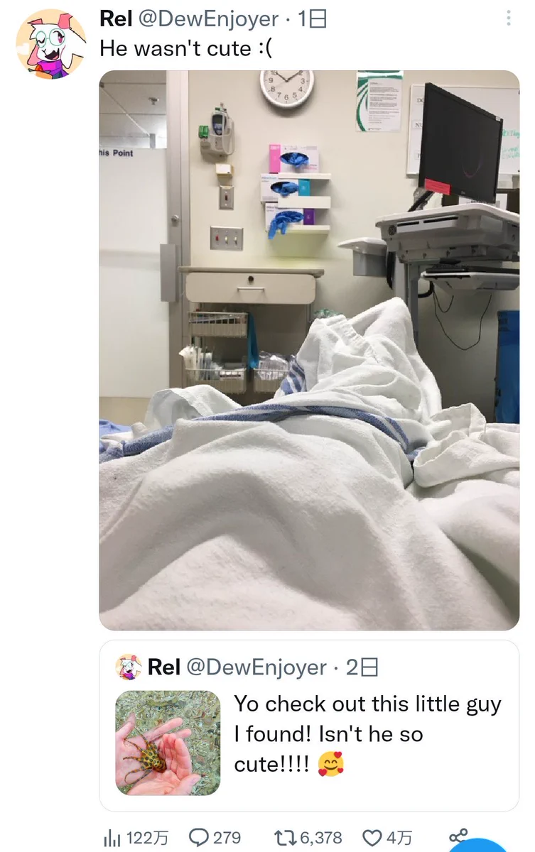 芸術点が高すぎる2コマ！毒のあるタコを触って病院へ！