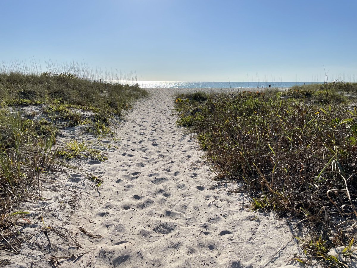 Island Unique tweet media