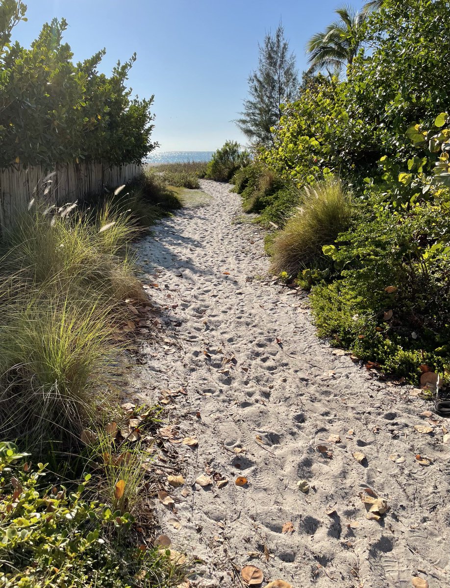 Island Unique tweet media