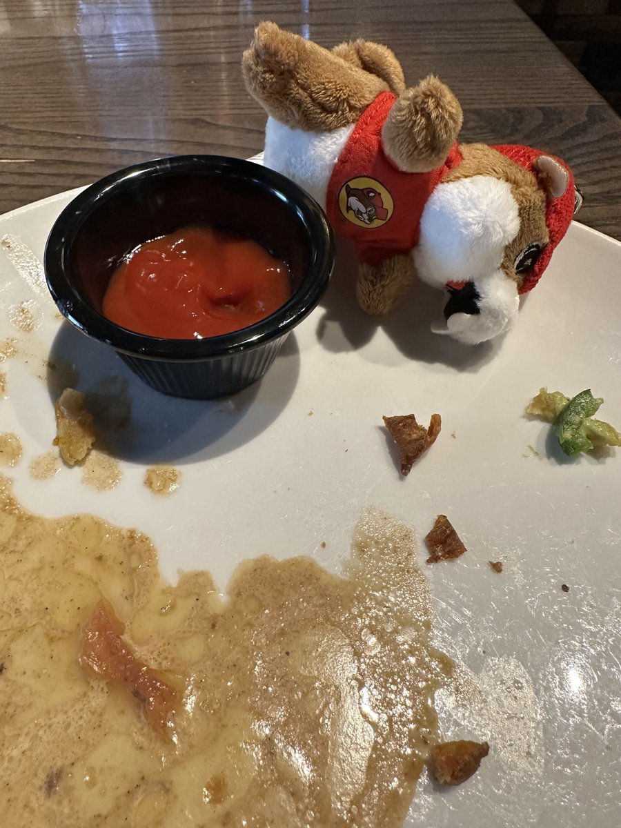 toadcola's tweet photo. Got a new friend from @ChillWookie to take to the show, but I fear he may have overindulged at dinner.
#BuceeBeaver Wake up! wake up! @bucees
#DREAMCATCHER🔮#드림캐쳐🔮
#DreamcatcherinIrving #DreamcatcherinDallas #DreamcatcherinTexas
#DreamcatcherReasonMakes https://t.co/E1JUix0grn