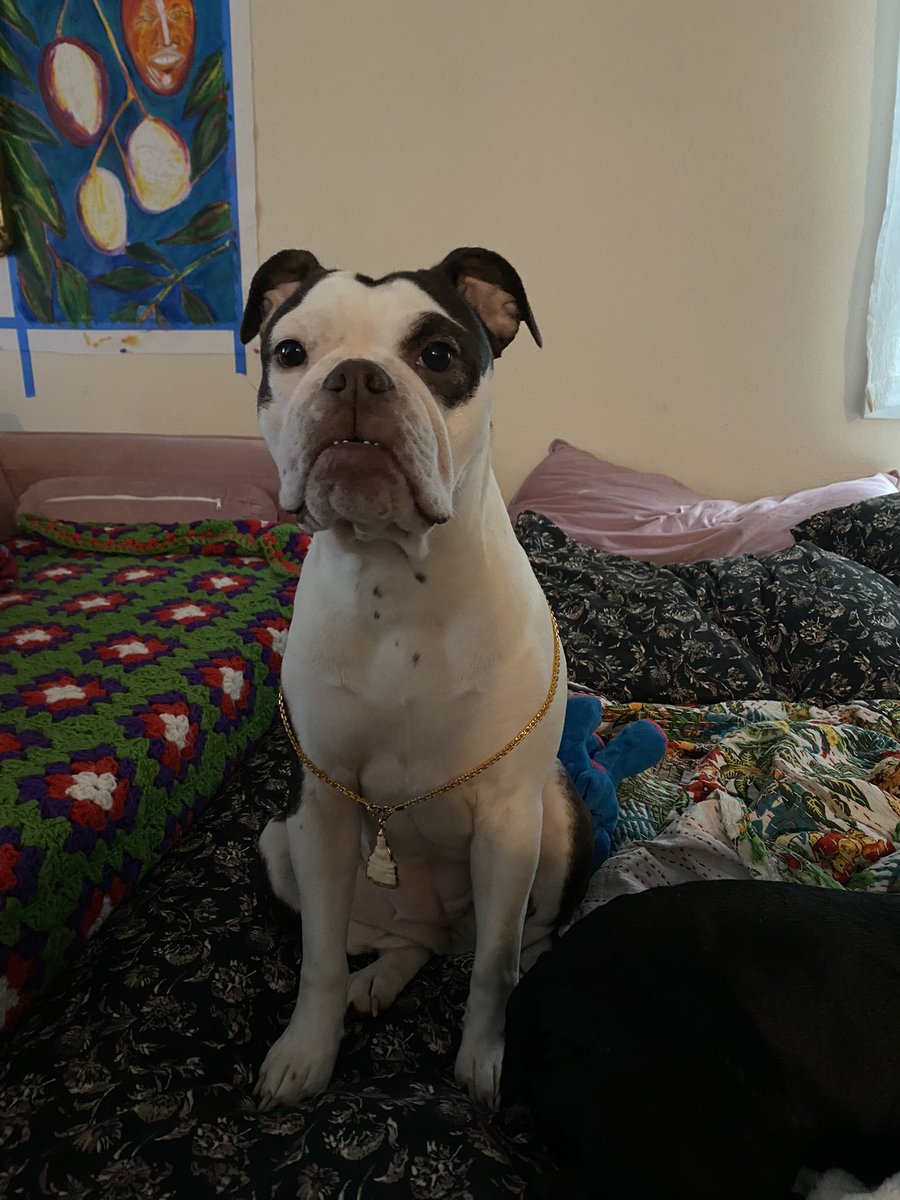 stonecoldYAMA's tweet image. Buddha blessed ⛓️