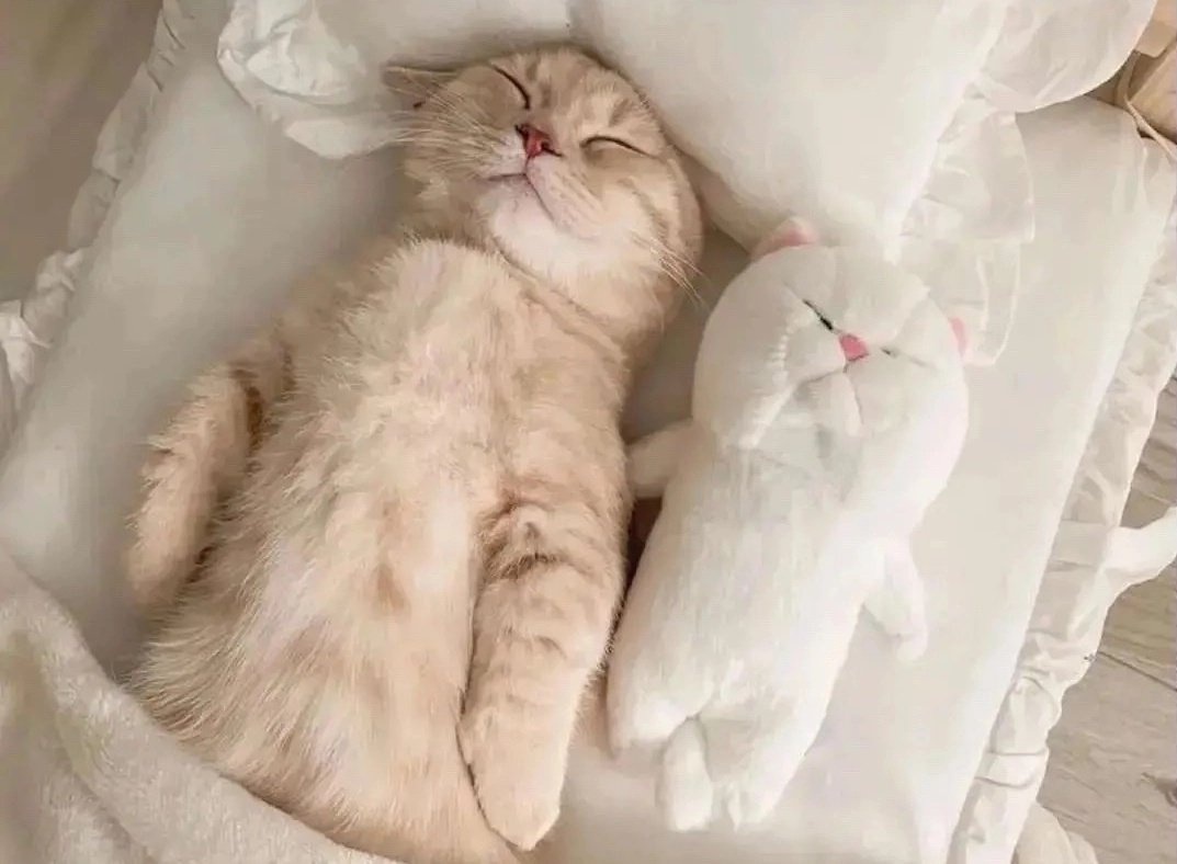 Bizarro Que As Veses As Coisa Acontece E Vc Nao Pode Fazer Nada !!