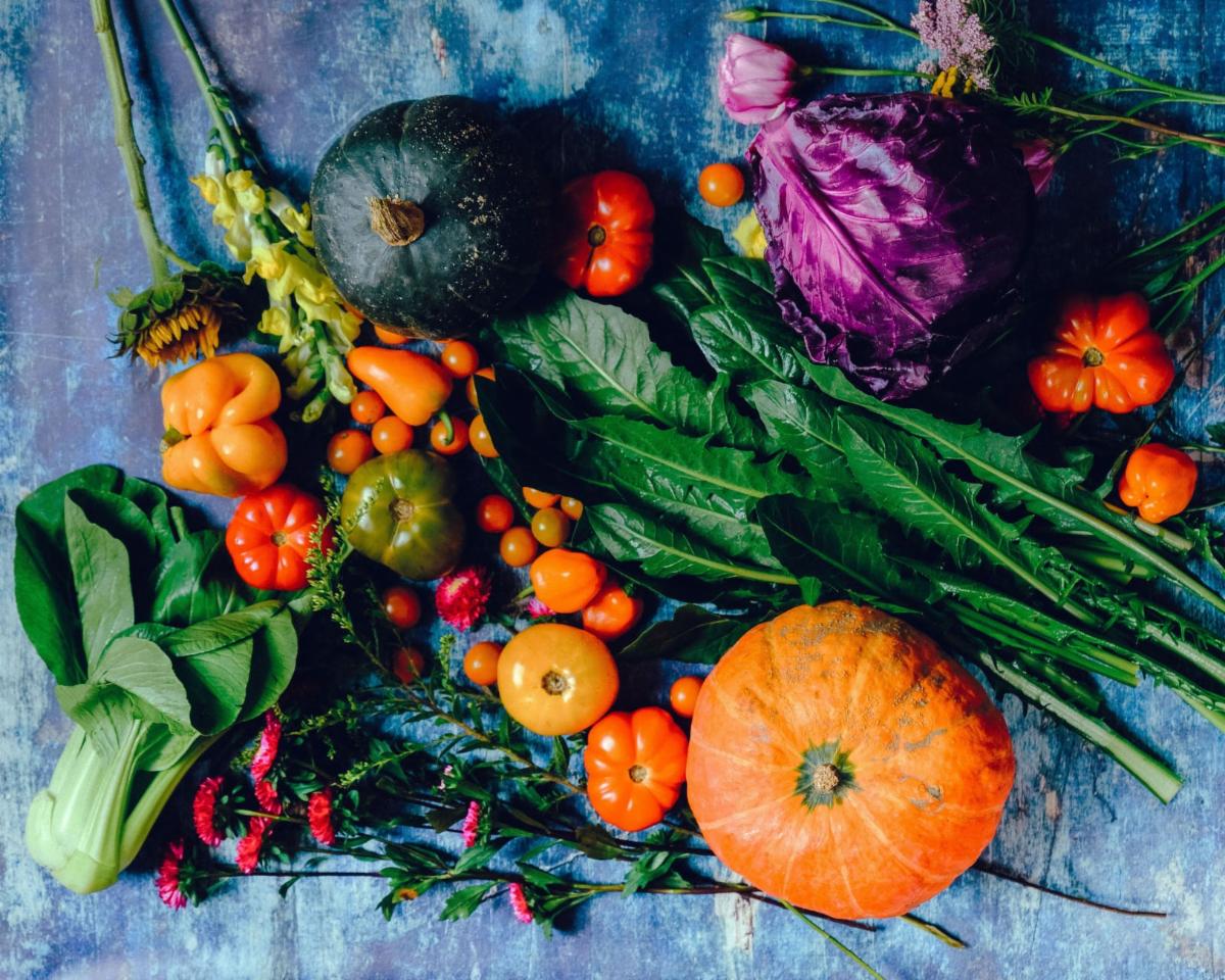 MARCH is National Nutrition Month! Learn how to build a healthy plate and explore common dietary misconceptions! This webinar will be presented by the East Alabama Health Diabetes &amp; Nutrition Center. Attendance is FREE, March 29, 2023, at 1:00 pm CST. conta.cc/33C0EKL