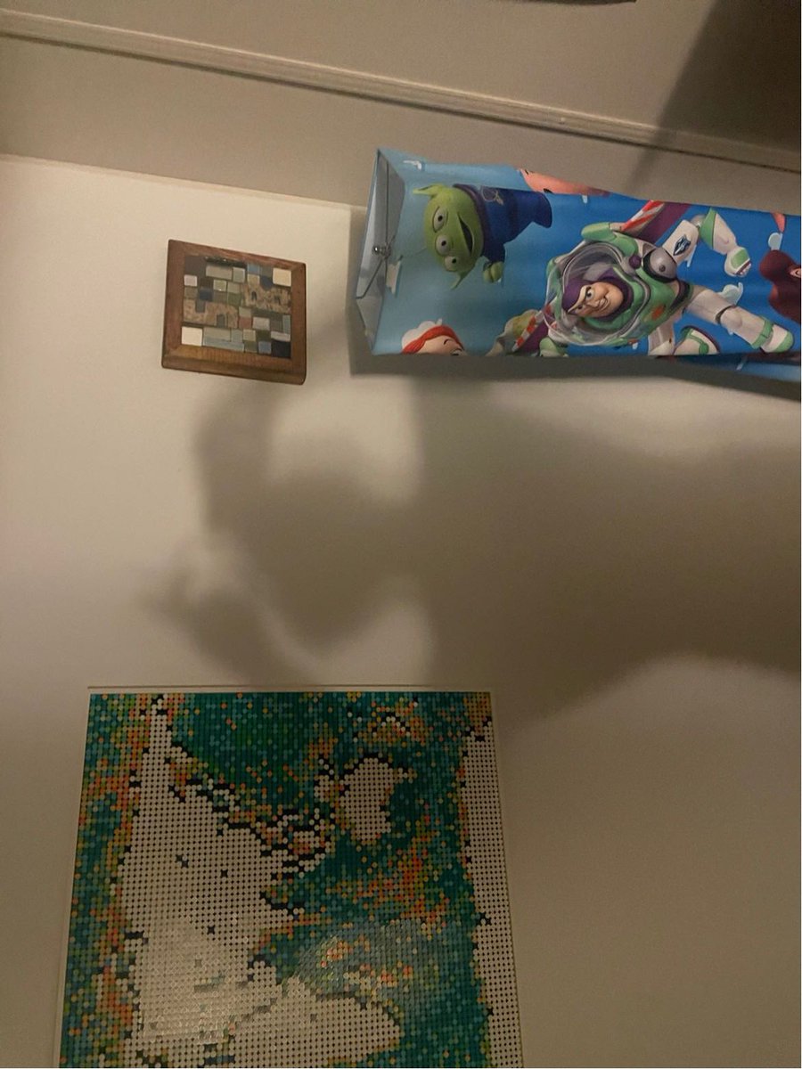 SkyFlyDarnHeHi's tweet photo. my Shadow’S Shedding Skin https://t.co/62J6PiuGlJ