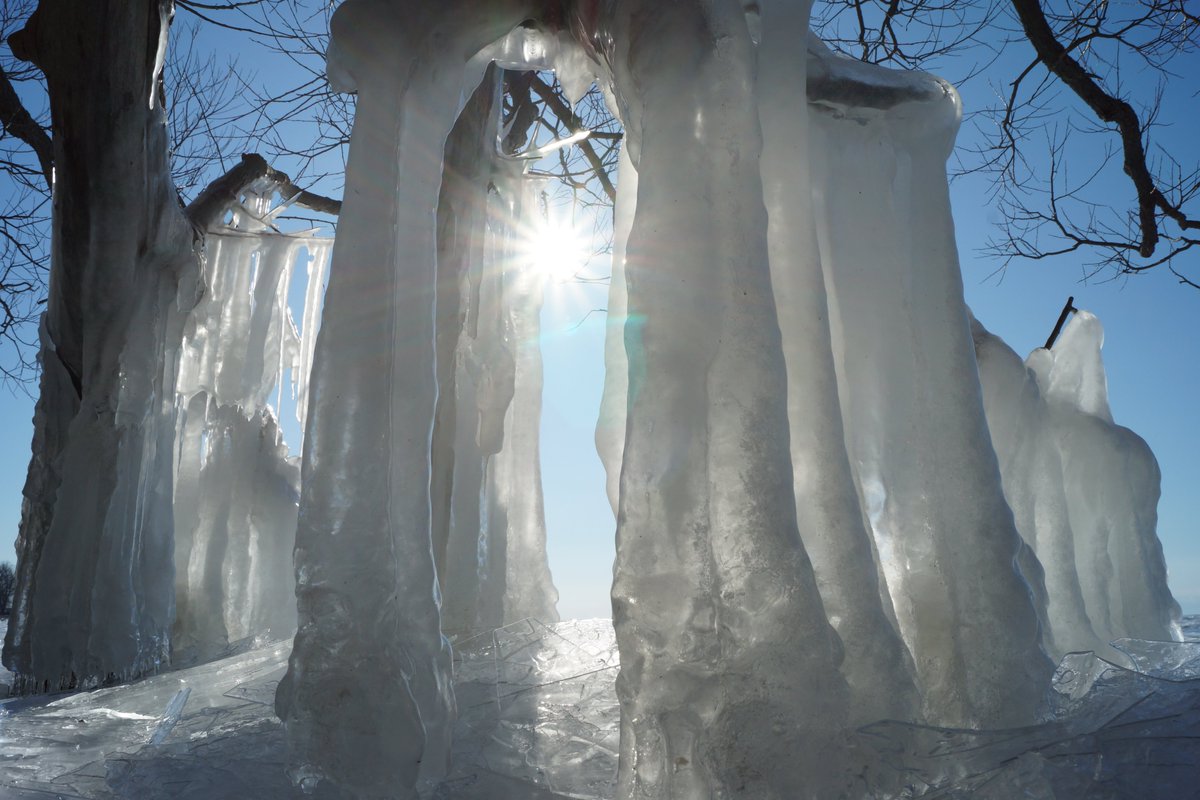 hoppermark's tweet image. Branch art.