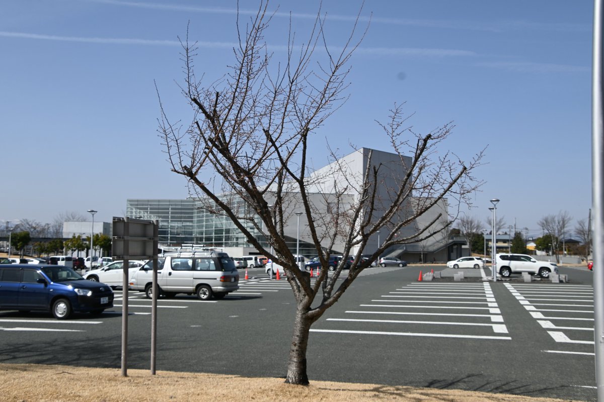 地球温暖化により、植物の開花が早まります。これによりどのような結果が生じるのでしょうか?