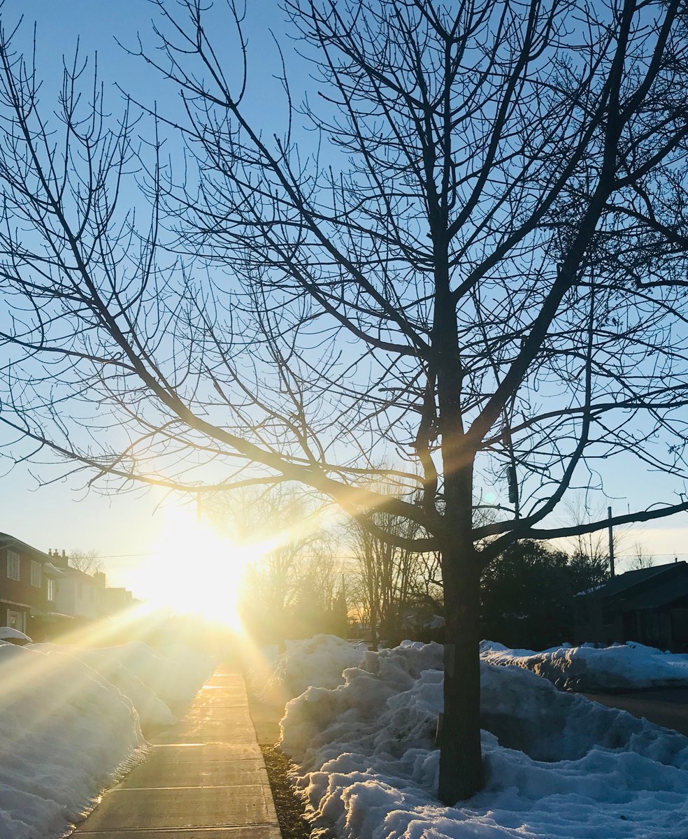 Kristy Kirkup tweet media