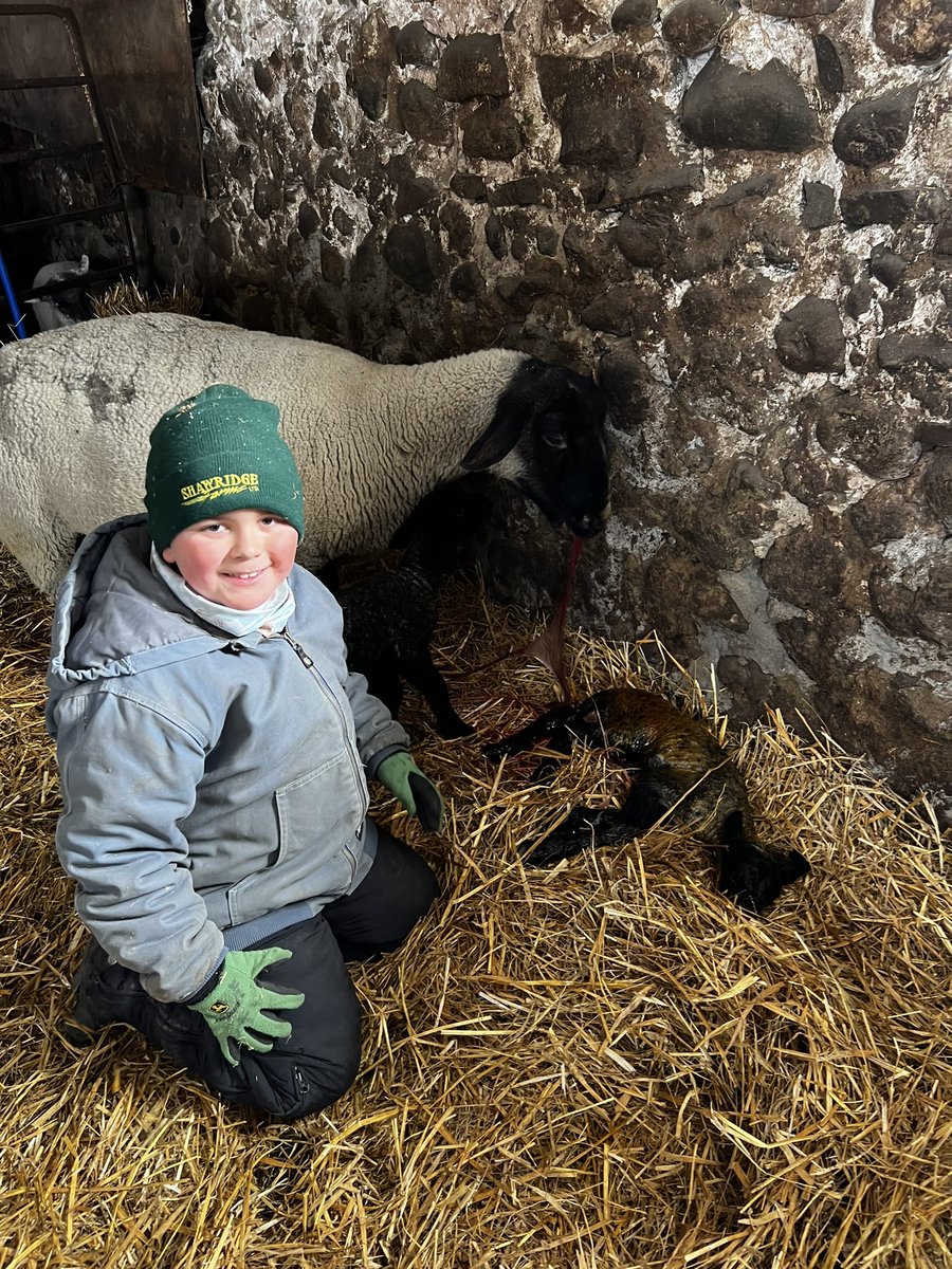 Ashley Dyce tweet media