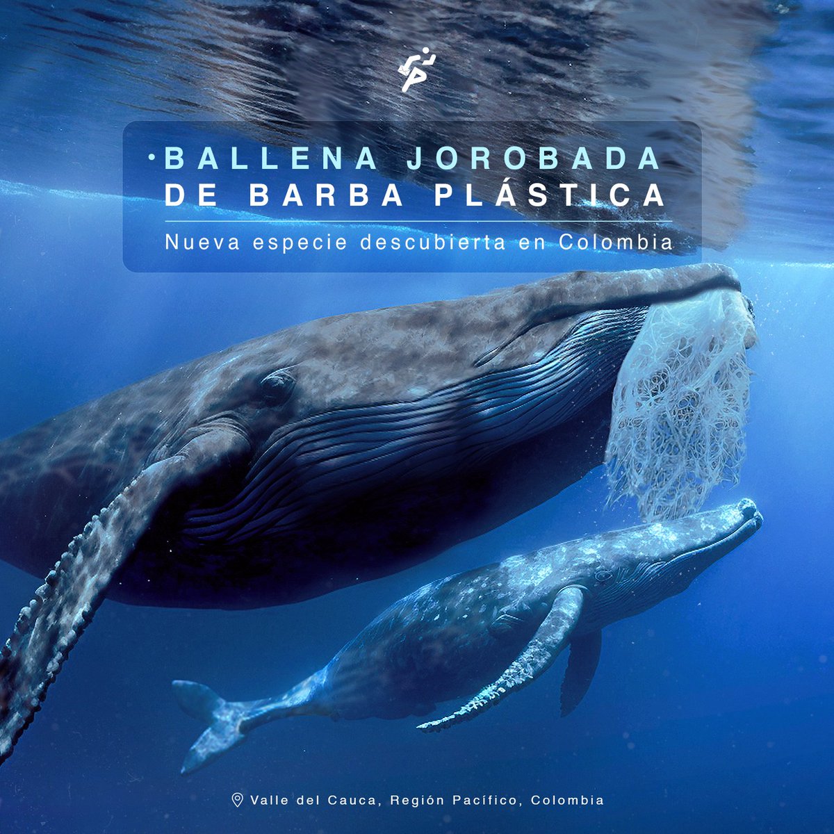 Yo viendo que la ballena tiene barba// pero es de plástico Por un mundo sin  plástico por favor 😔, image size:1200x1200