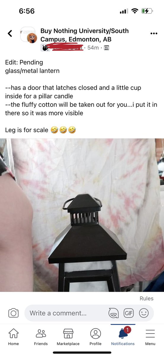 angiolytic's tweet photo. @AnnaPhilomena @MattLevy51 “Leg is for scale” 😅

“If you can’t measure it, it doesn’t exist” 💁🏻‍♀️ https://t.co/GImZnvRqqF