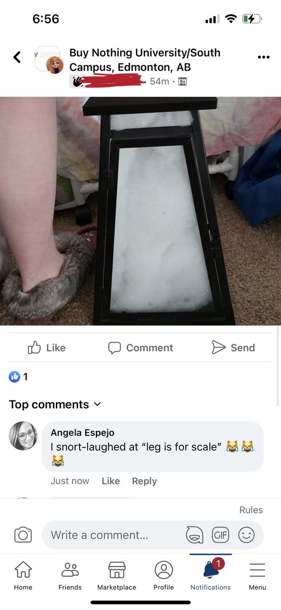 angiolytic's tweet photo. @AnnaPhilomena @MattLevy51 “Leg is for scale” 😅

“If you can’t measure it, it doesn’t exist” 💁🏻‍♀️ https://t.co/GImZnvRqqF