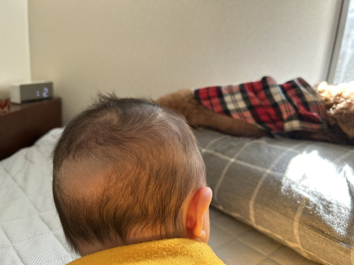 ___sklapin's tweet photo. おハゲ👶🏻 https://t.co/uAMzmwWEPe