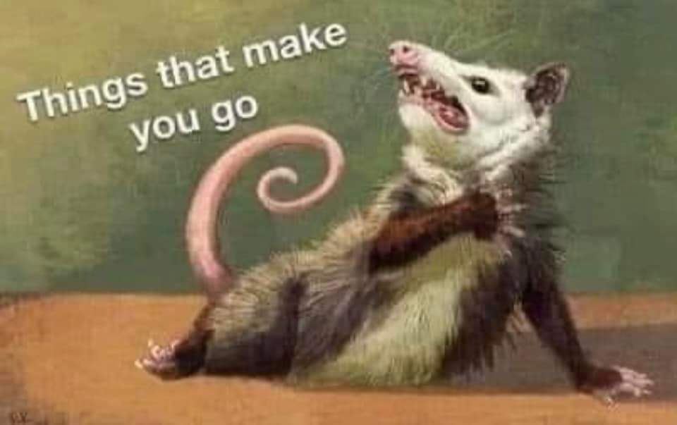 EmmlyBakes (@emmlybakes) on Twitter photo 