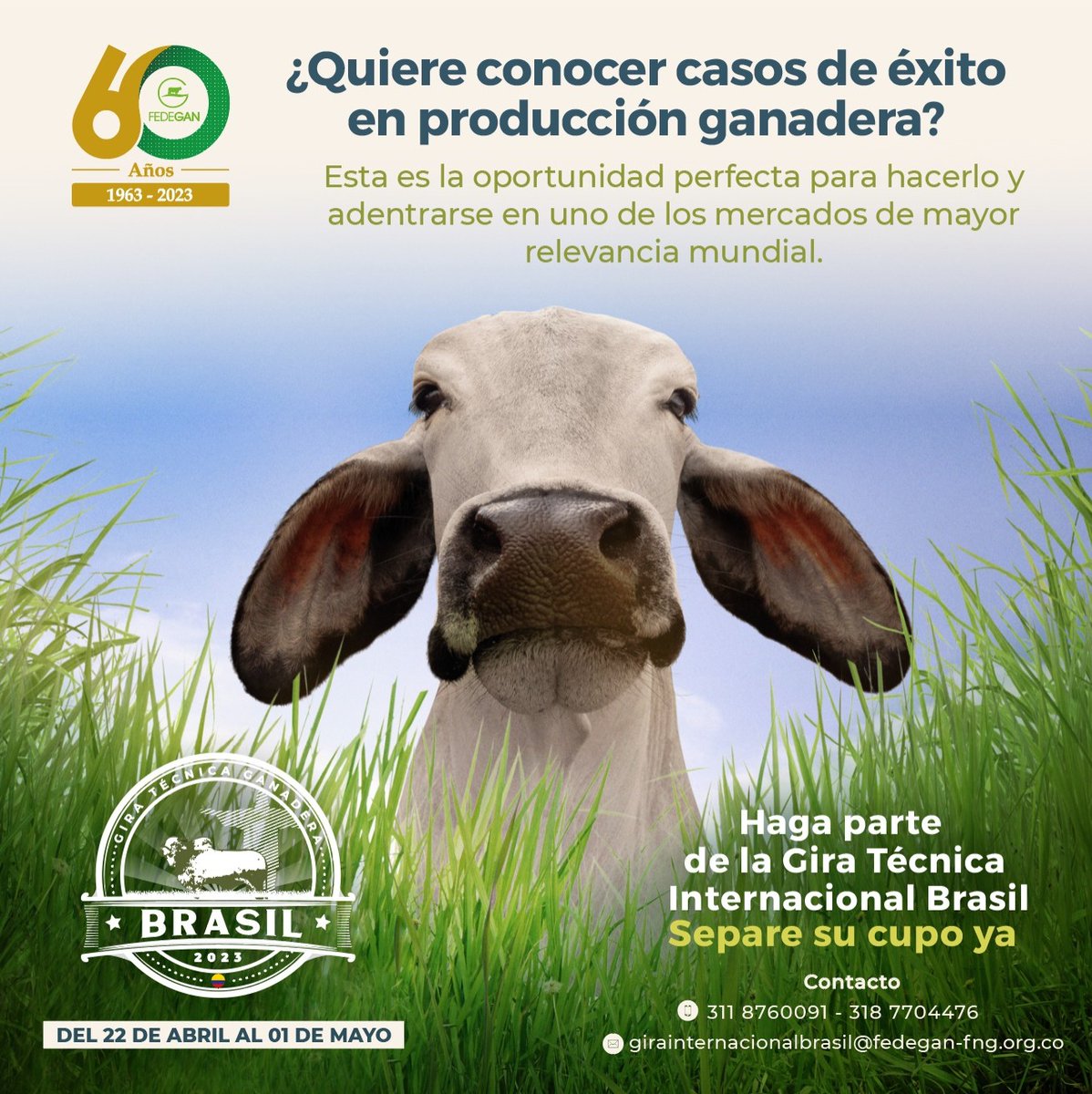 Fedegan's tweet image. 🤠 ¡Nos vamos para Brasil! 🇧🇷

Y usted no se puede perder de la GRAN GIRA TÉCNICA GANADERA INTERNACIONAL que organizamos en el marco de los 60 años de FEDEGÁN.

🗓️ 22 de abril - 1 de mayo

Inscríbase 👉 bit.ly/3HWGfWI
📲 311 8760091 o 318 7704476

#GiraGanaderaBrasil