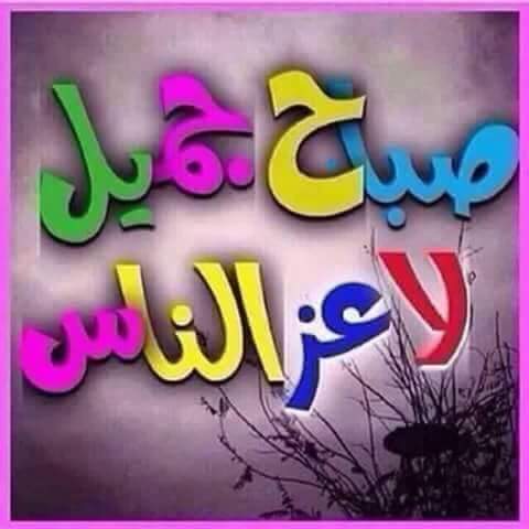 صباااح جميل لاعز الناس صباح الخير والفلل والياسمين والتفائل صباح الحب صباح الجمال 🤲❤❤🌷🌷🌺🌺