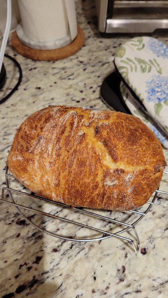 KamSingh25's tweet photo. Update on husband's bread making: I have joined the efforts.  Say hello to the new notekeeper, and sous baker. 3rd loaf pictured. #breadwinners https://t.co/2tBkSpfn32