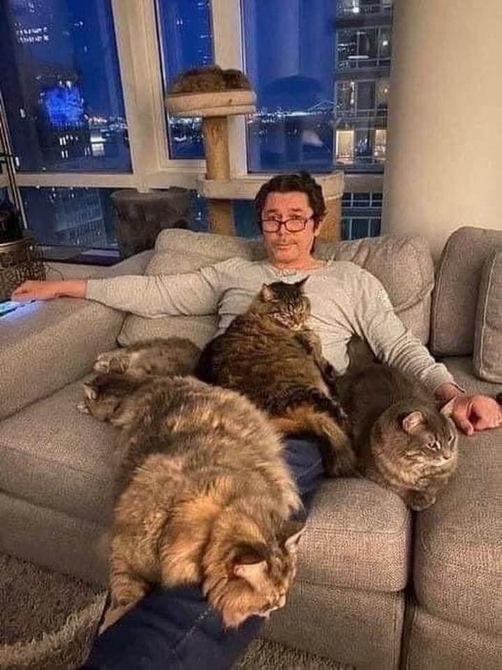 nickkarner's tweet image. Yoooooo! You think LDP figured out The First Power is really CATS? #loudiamondphillips #kittehs