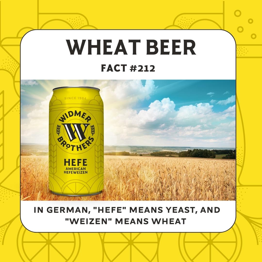 Makes a lot of sense when you translate it 💡