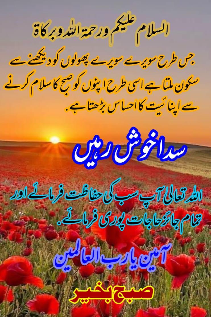 Azhar Ahmed pmln tweet media