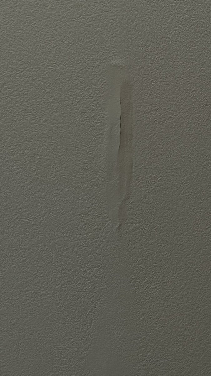 Missyeru tweet media