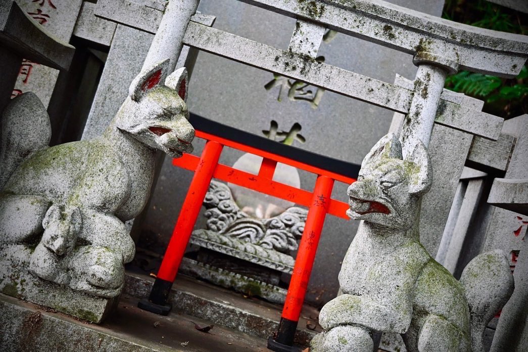 KNOCKltd's tweet photo. The depth of the forest also hides wonderful sights.  Take a walk among the beautiful Japanese buildings.  You can feel the mystique in the air.

#japan #gunma #travel #jaaneseculture #japantravel #holiday #trip #nature #culture #mystery #letsseejapan https://t.co/DXcrOVqg00