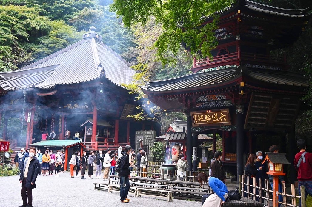 KNOCKltd's tweet photo. The depth of the forest also hides wonderful sights.  Take a walk among the beautiful Japanese buildings.  You can feel the mystique in the air.

#japan #gunma #travel #jaaneseculture #japantravel #holiday #trip #nature #culture #mystery #letsseejapan https://t.co/DXcrOVqg00