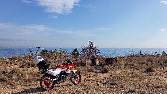 バイクで男鹿島来たけど昼寝してたら猫が来たここは天国か何かか? 